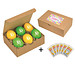 LogoEi 6er Snack-Box - bunt sortiert
